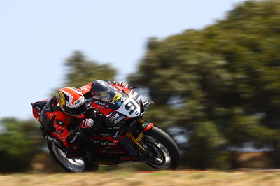 Danilo Petrucci, 2024 Portuguese WorldSBK. - Gold and Goose.