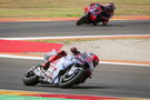 Marc Marquez, 2024 MotoGP Aragon Grand Prix. - Gold and Goose