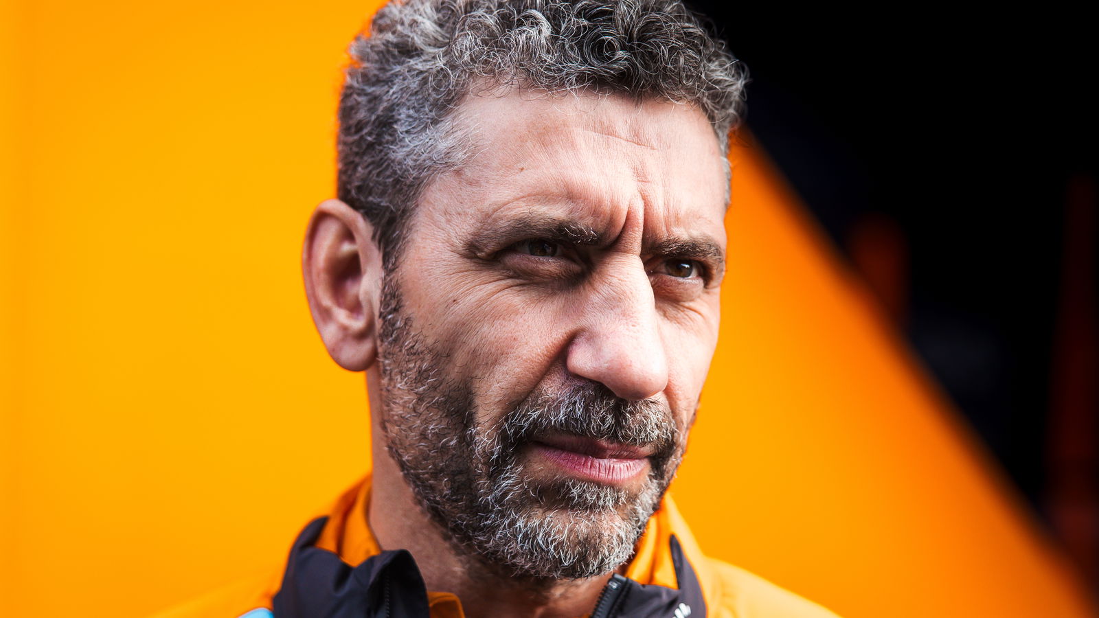 Andrea Stella