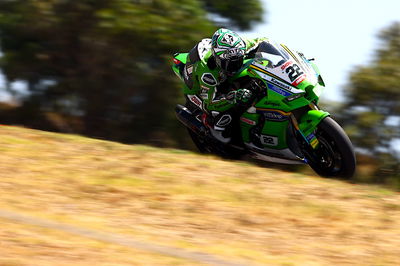 Alex Lowes, Kawasaki Racing Team, Kawasaki ZX-10RR, 2024 WorldSBK, action [Gold & Goose]