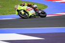 Marco Bezzecchi, 2024 MotoGP Emilia-Romagna Grand Prix. - Gold and Goose.