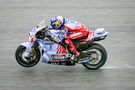 Alex Marquez, Gresini Ducati, 2024 Thai MotoGP