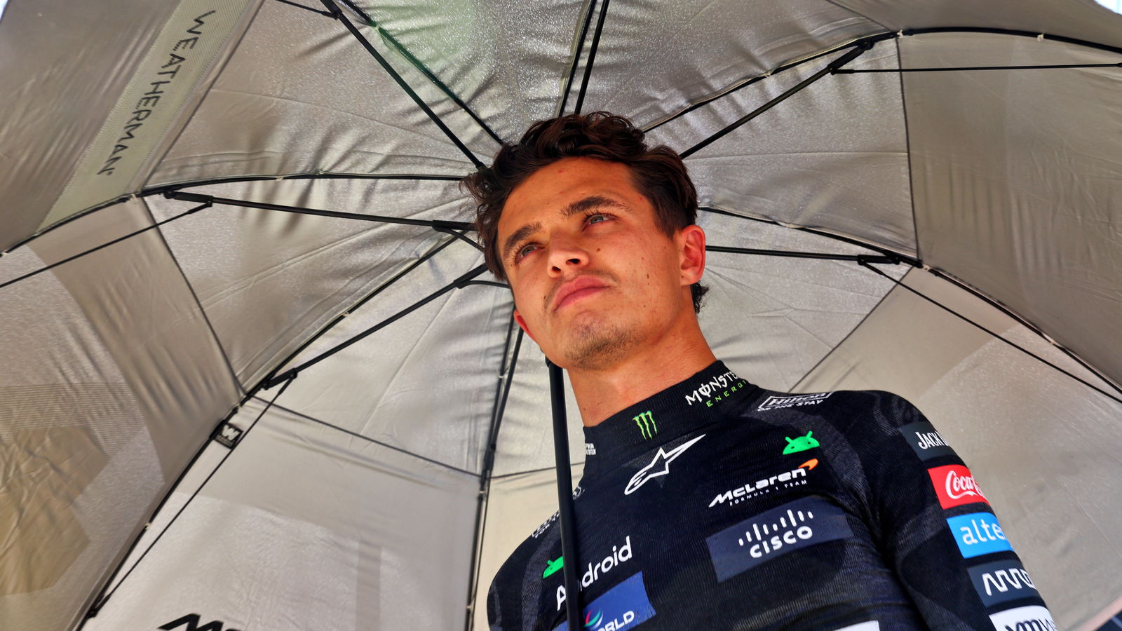 Lando Norris 