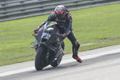 Marco Bezzecchi, 2025 MotoGP Sepang Test. Credit: Gold and Goose.