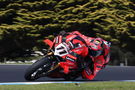 Nicolo Bulega, 2025 Phillip Island WorldSBK Test. Credit: Gold and Goose.