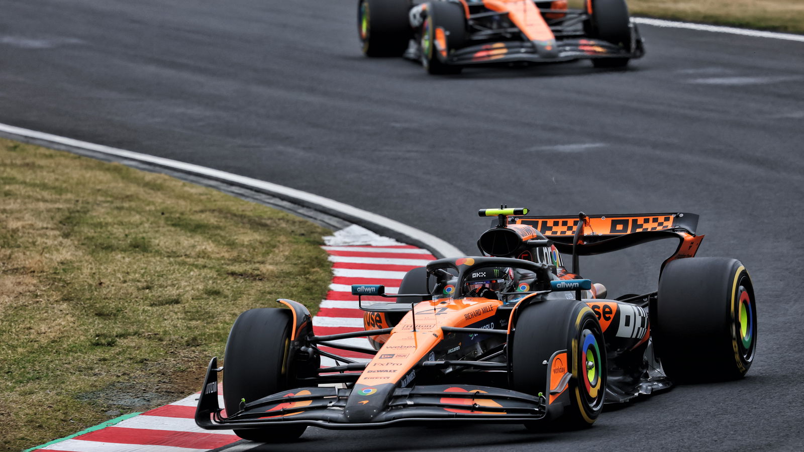Lando Norris