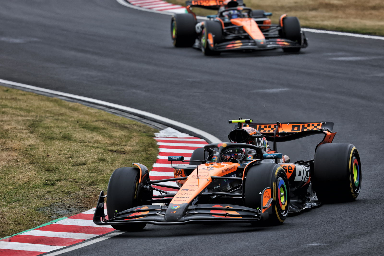 Lando Norris