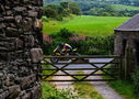 Isle of Man TT