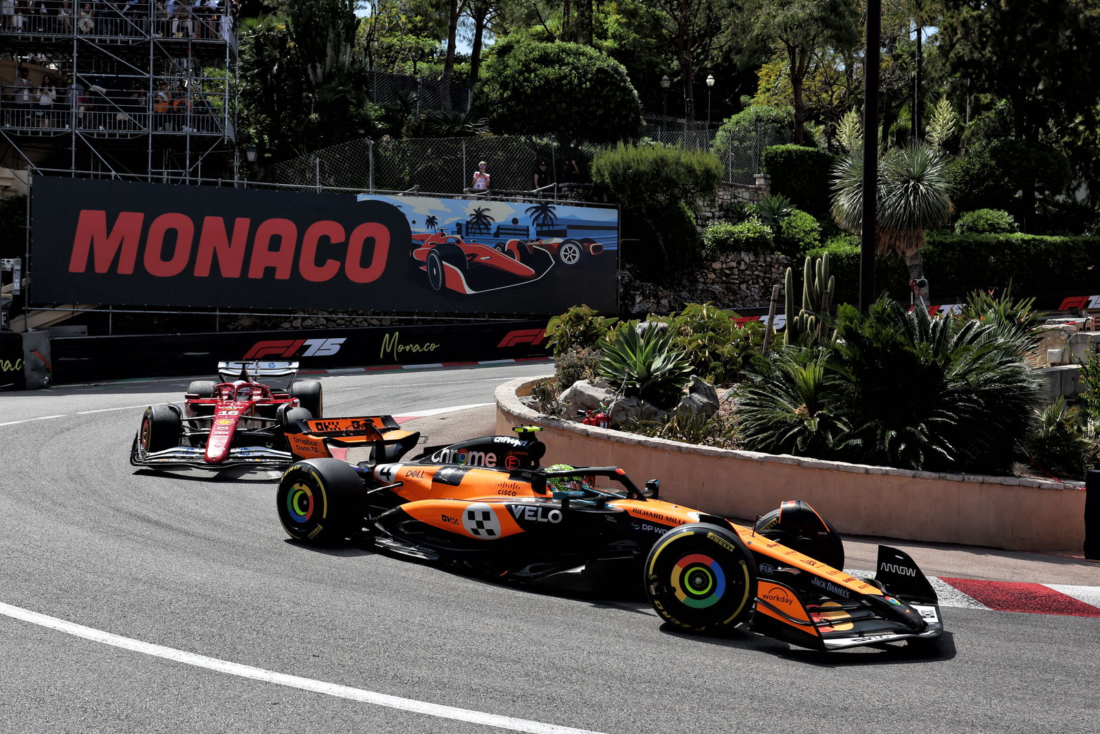 Lando Norris