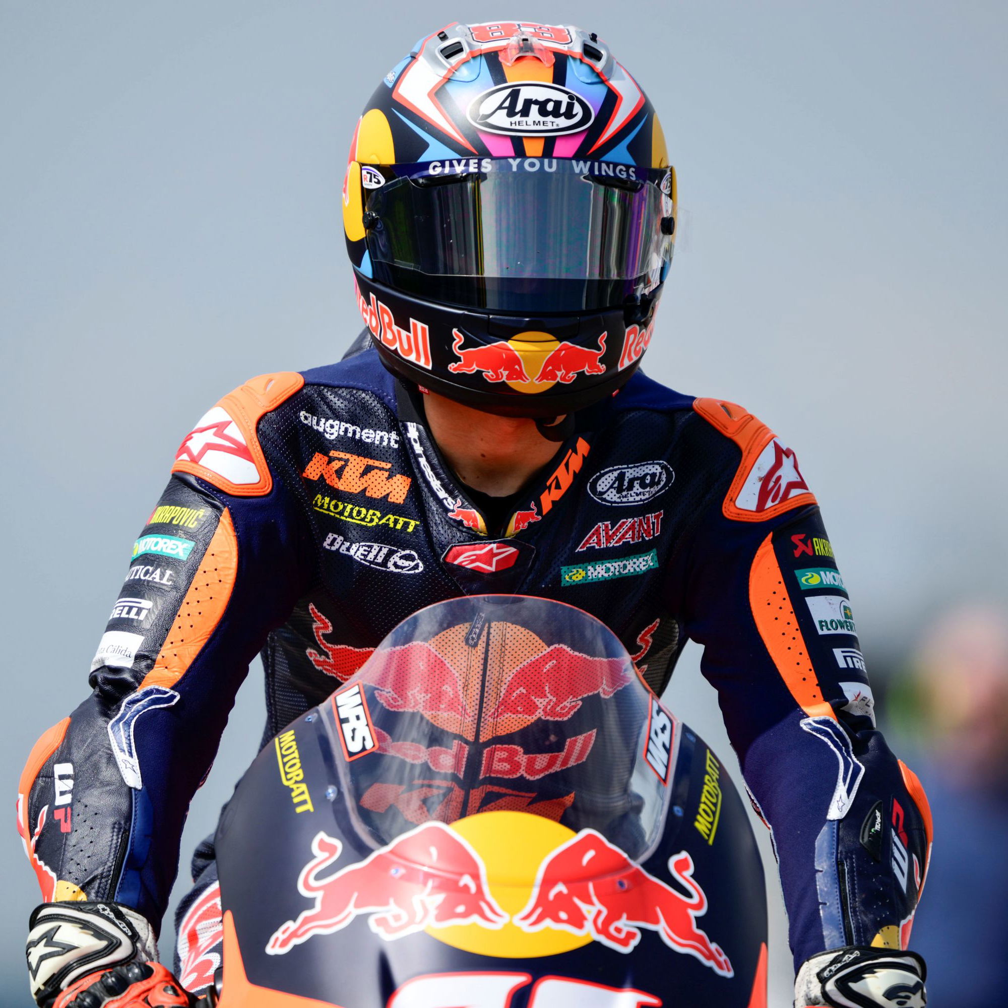 Alvaro Carpe, Moto3, 2025