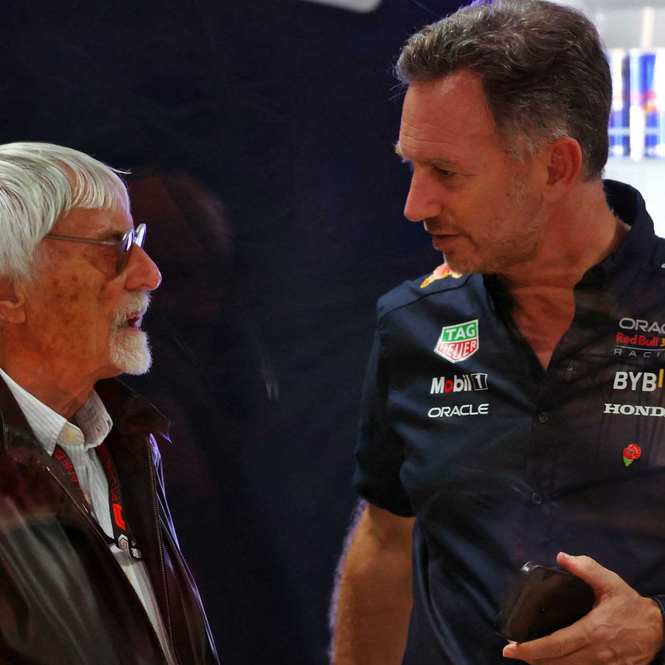 Bernie Ecclestone and Christian Horner