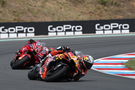 Pedro Acosta, 2025 MotoGP Czech Grand Prix. Credit: Gold and Goose.