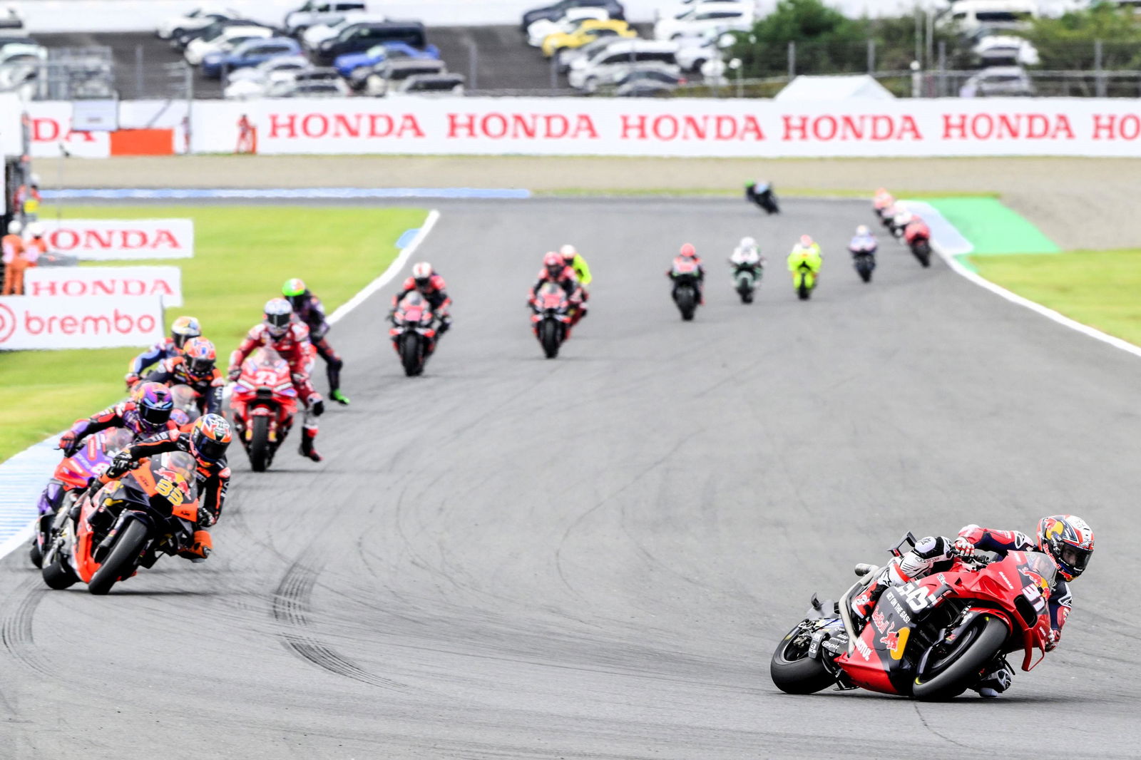 Pedro Acosta, 2024 Japanese MotoGP