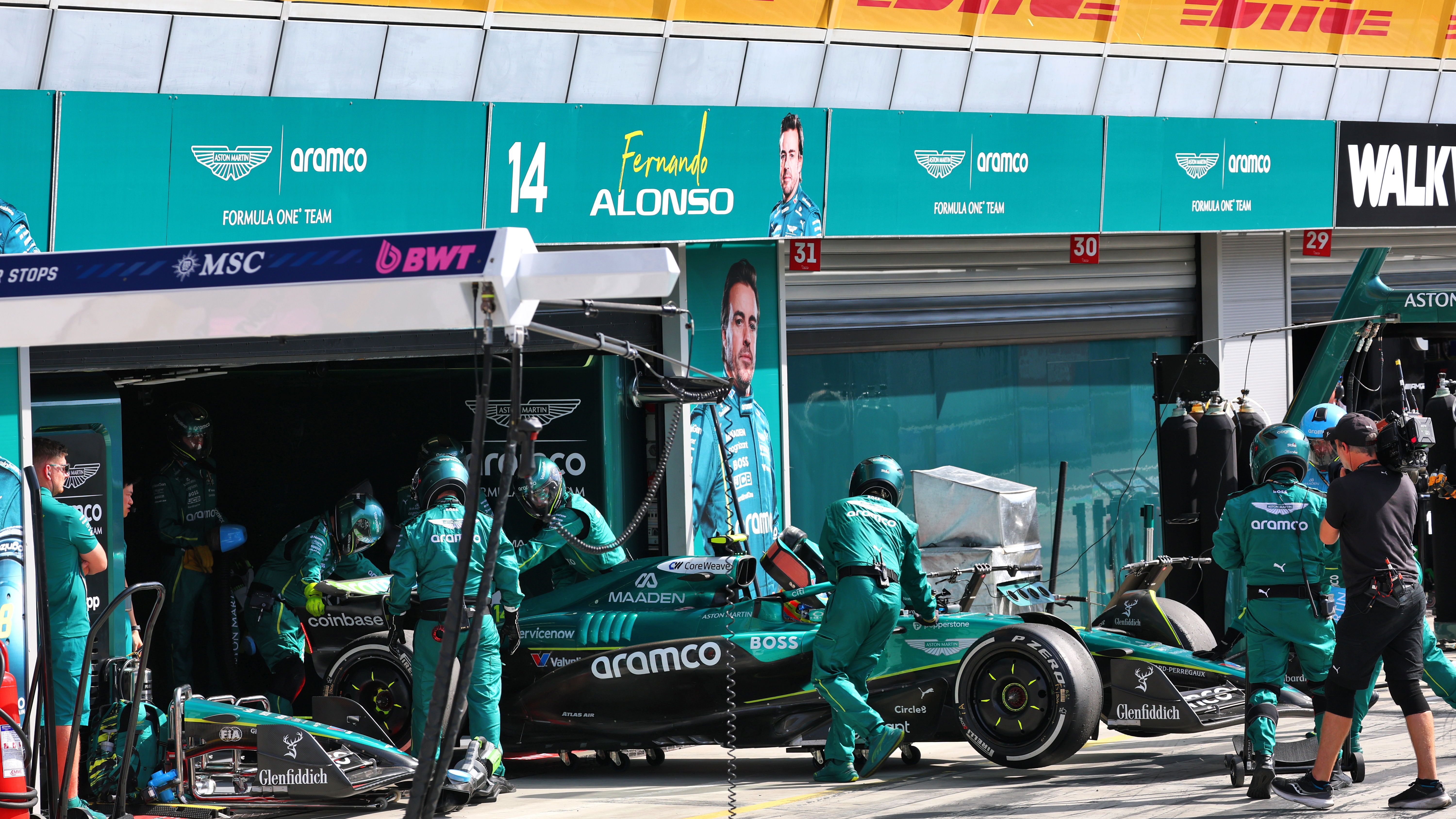 Fernando Alonso 