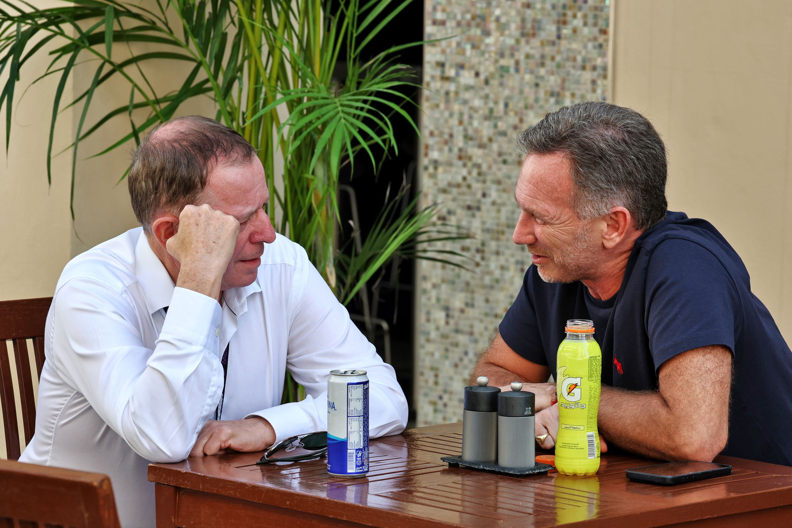 Martin Brundle and Christian Horner 
