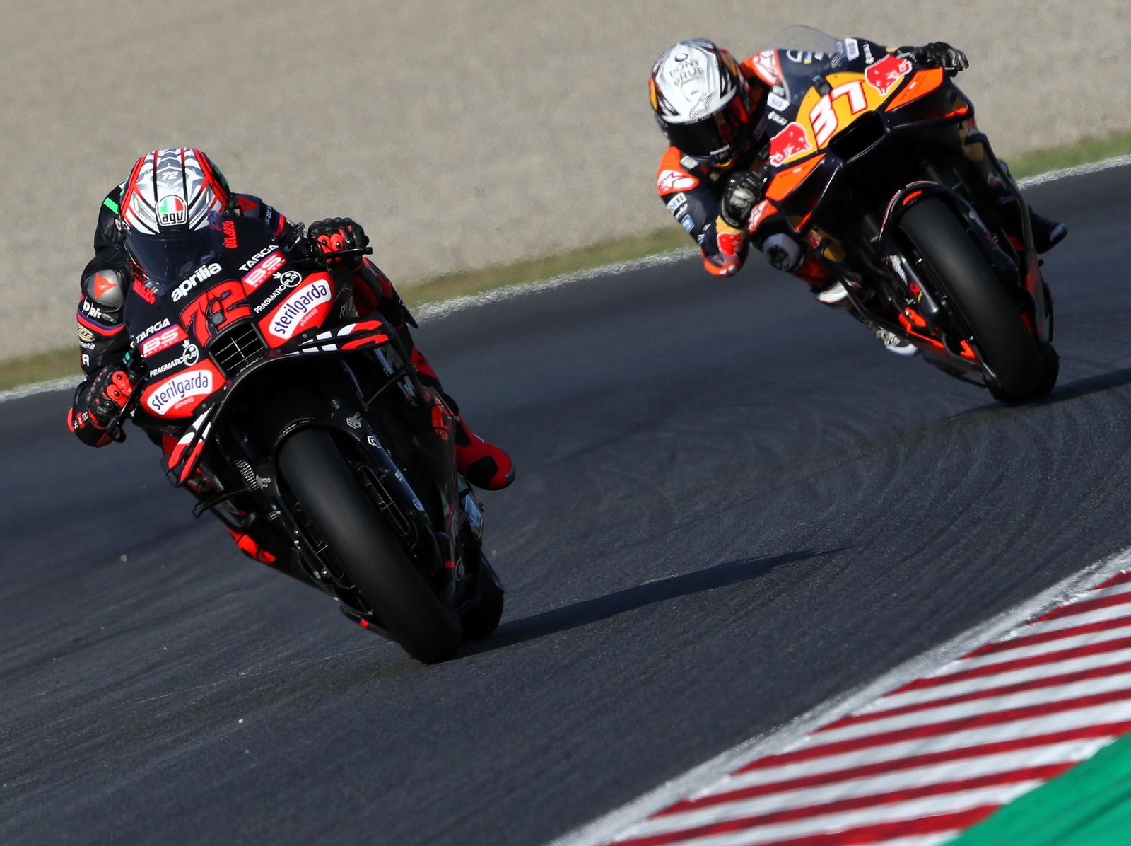 Marco Bezzecchi, Pedro Acosta