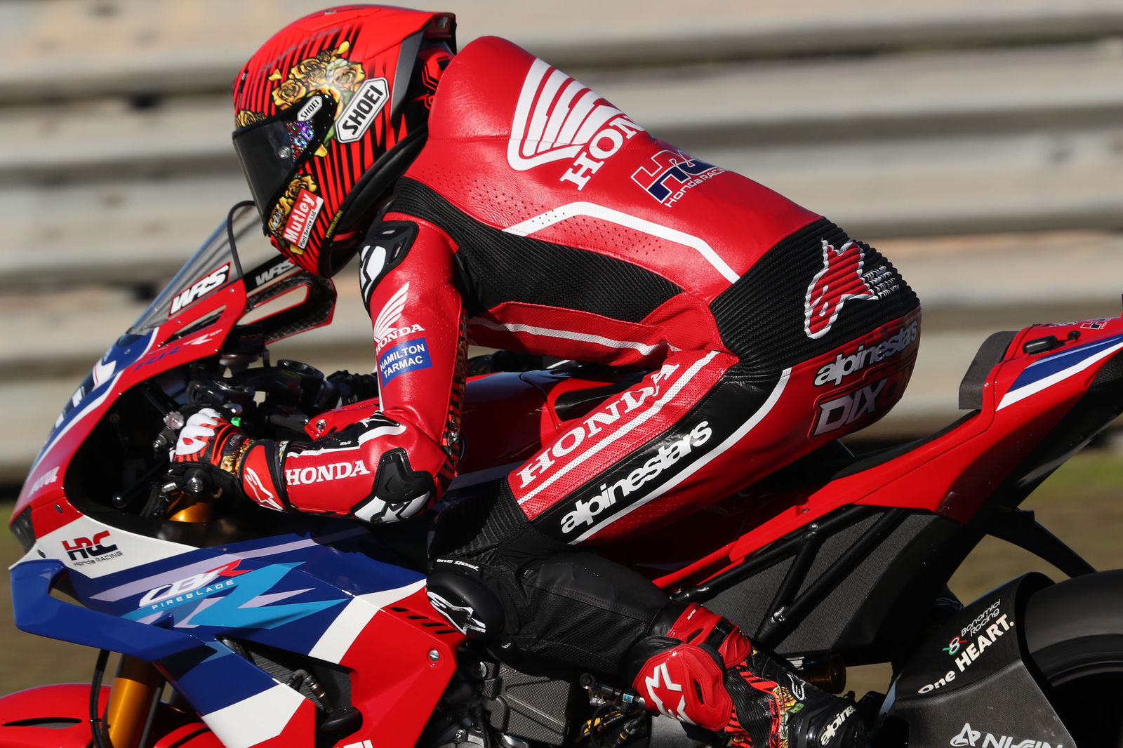 Jake Dixon, November 2025 Jerez WorldSBK Test. Credit: Gold and Goose.