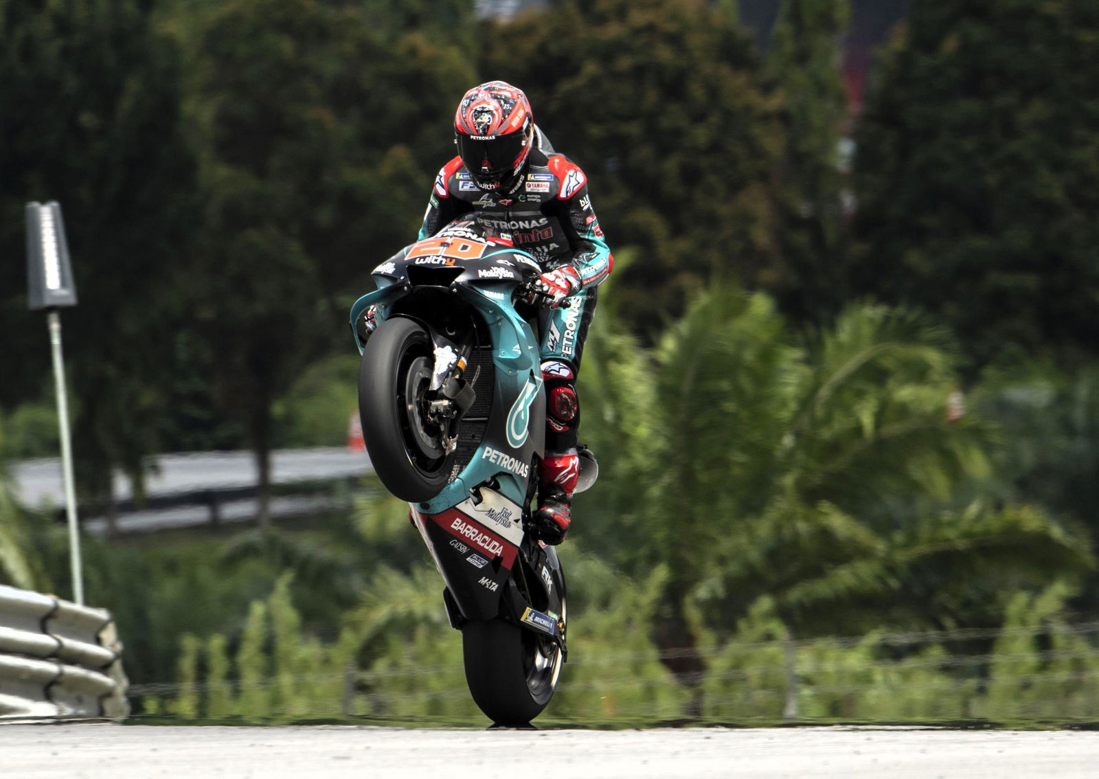 Fabio Quartararo, Sepang, 2019