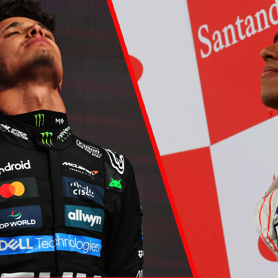 Norris and Hamilton both won their first F1 world titles with McLaren