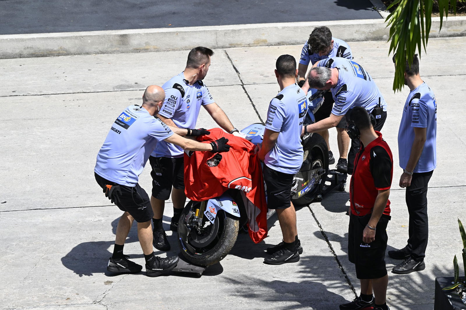 Alex Marquez's Ducati, 2026 Sepang MotoGP Test (Gold&Goose).