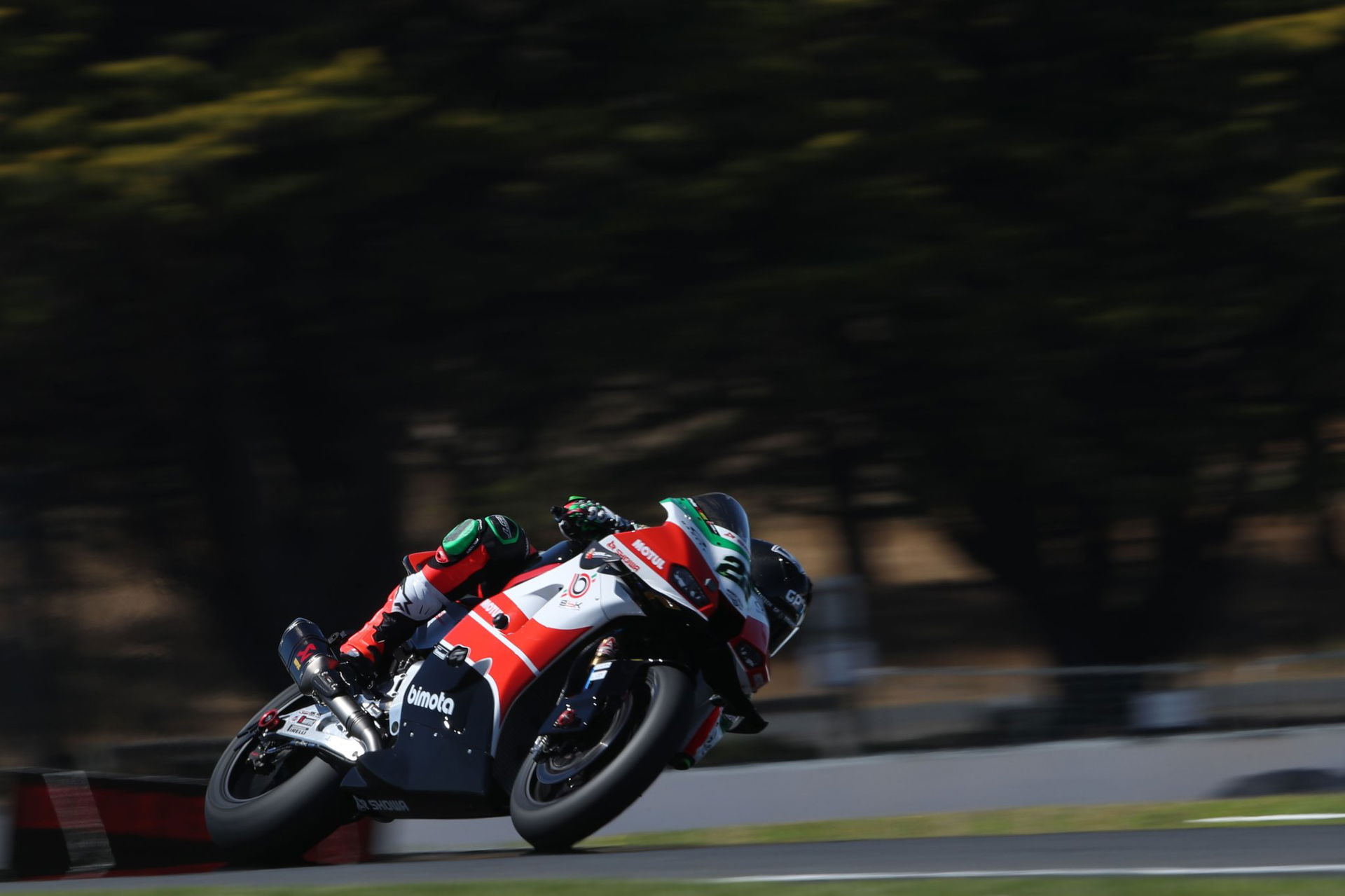 Alex Lowes, WorldSBK australiano 2026. Crédito: Oro y Ganso.