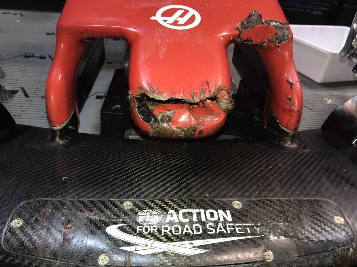 Groundhog Day: Why Montreal’s resident rodents are a notorious pest for F1