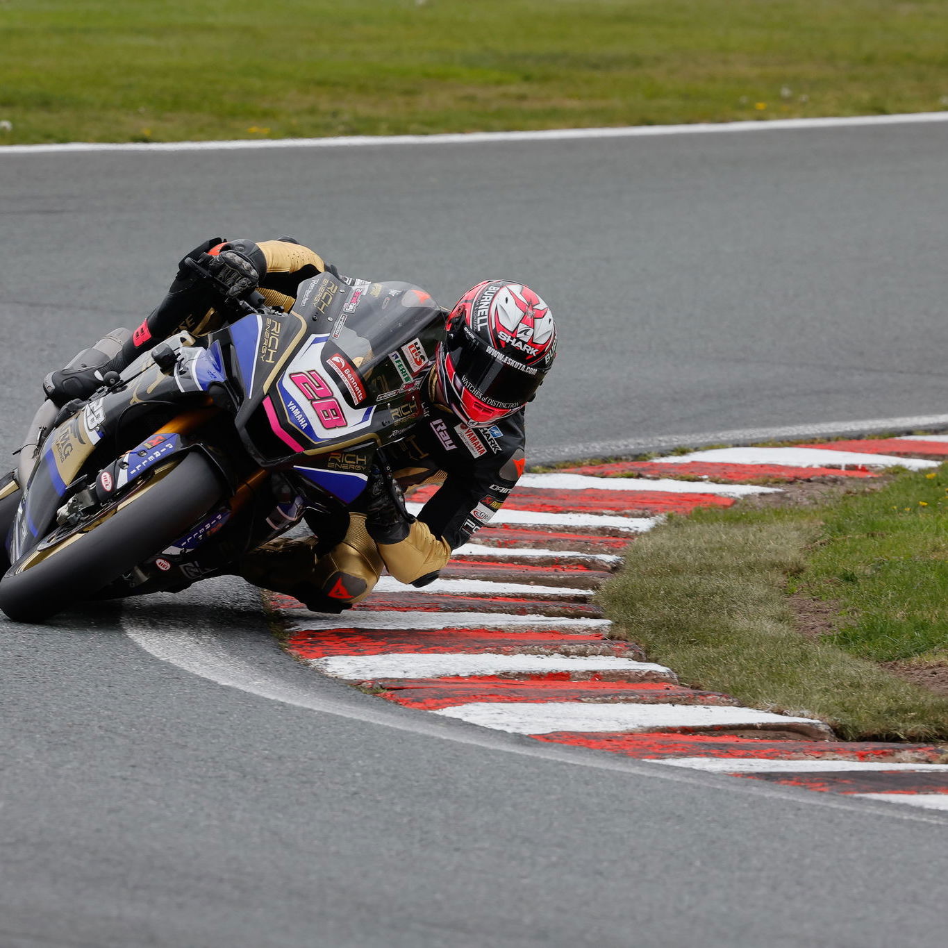 Bradley Ray, Yamaha British Superbike Oulton Park