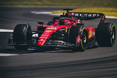 100 army soldiers drafted in to F1 British GP to stop possible protestors