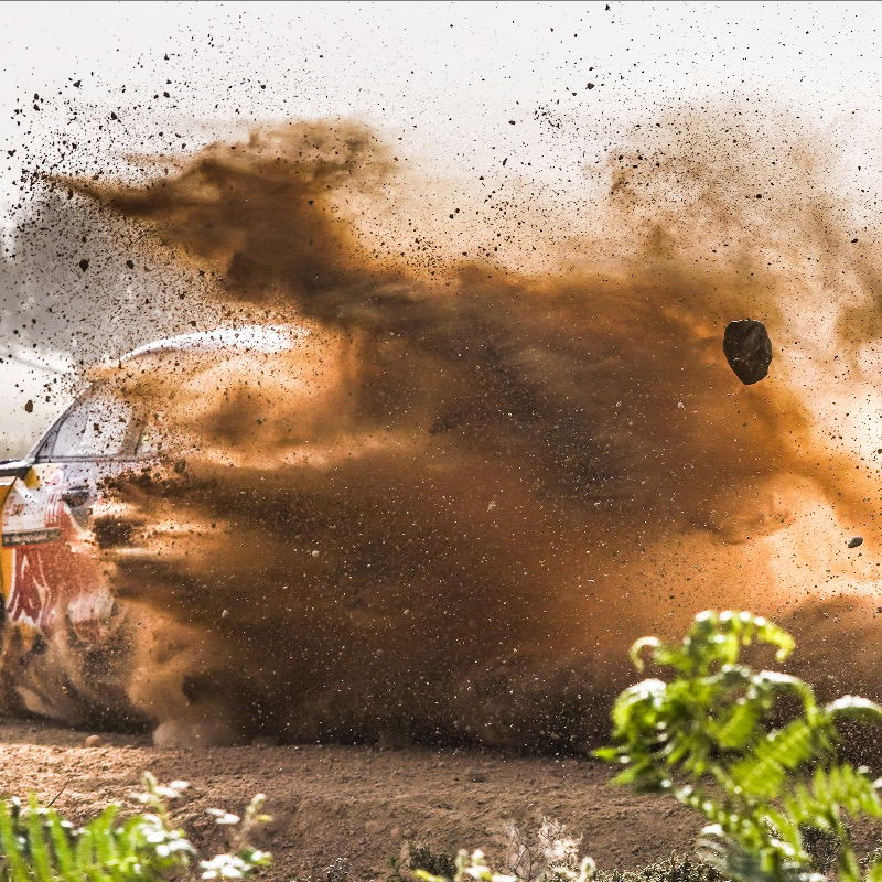 Kalle Rovanpera Fokus untuk Kembali ke Jalur Kemenangan