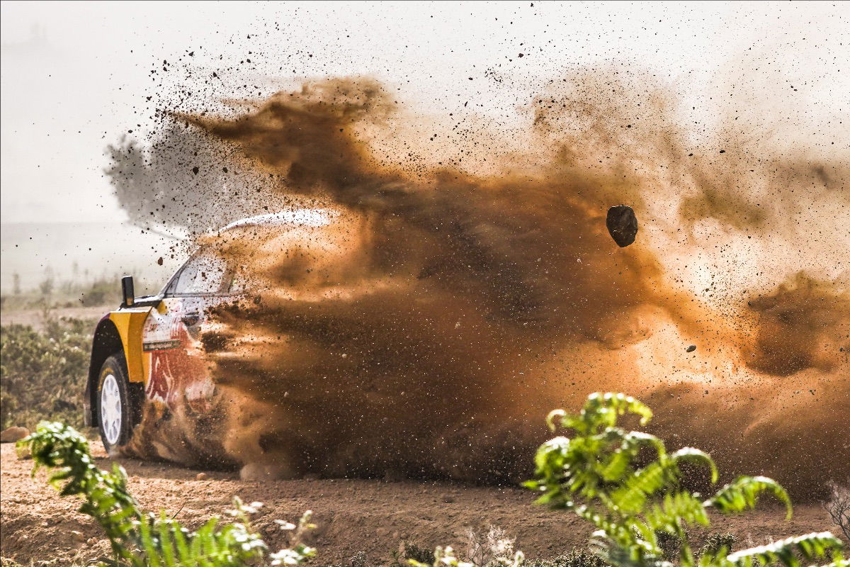 Sordo 