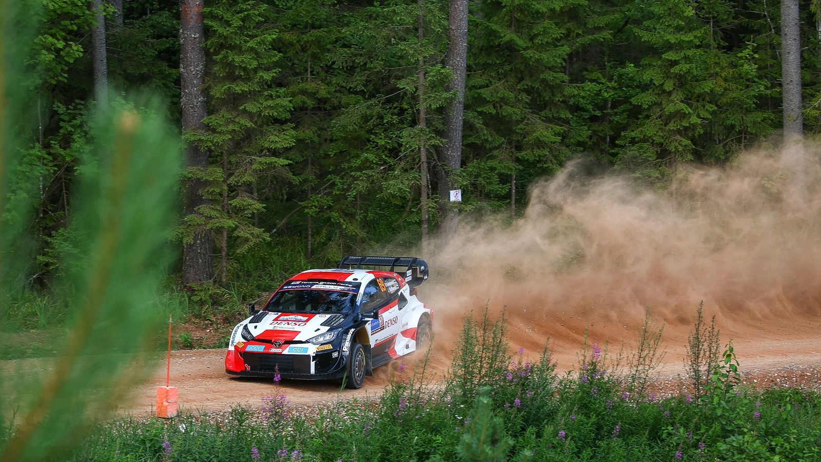 Rovanpera lights up Estonia shakedown as Tanak incurs time penalty