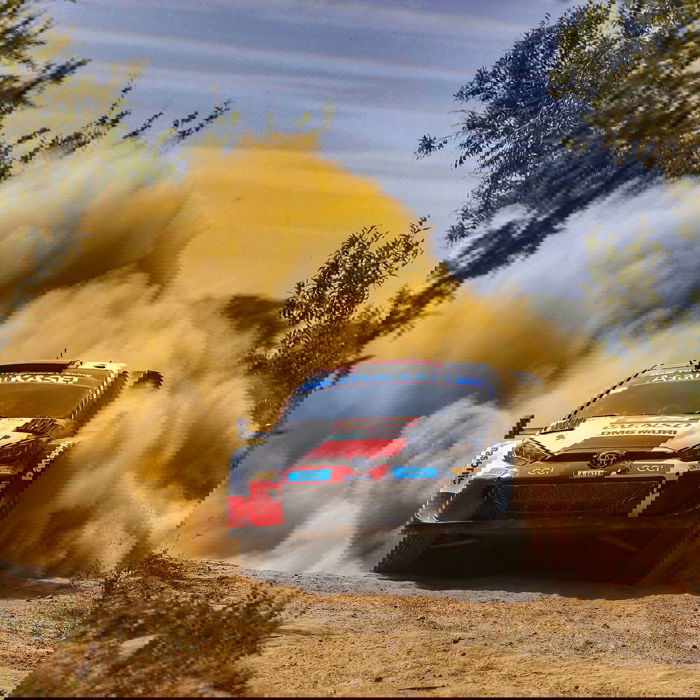 WRC Argentina 2013: Loeb 'cautious' about chances