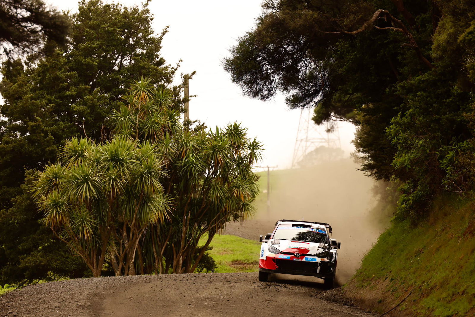 WRC Selandia Baru: Tanak Unggul Tipis dari Evans pada Hari Jumat