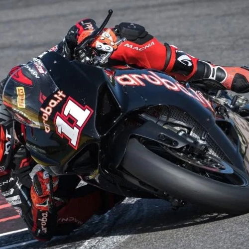 New boy Cluzel hails 'fantastic' Suzuki