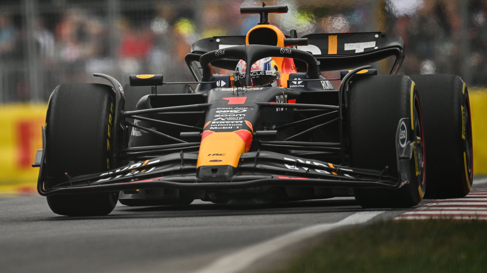 Verstappen won with dead bird stuck in brake duct after mid-race strike