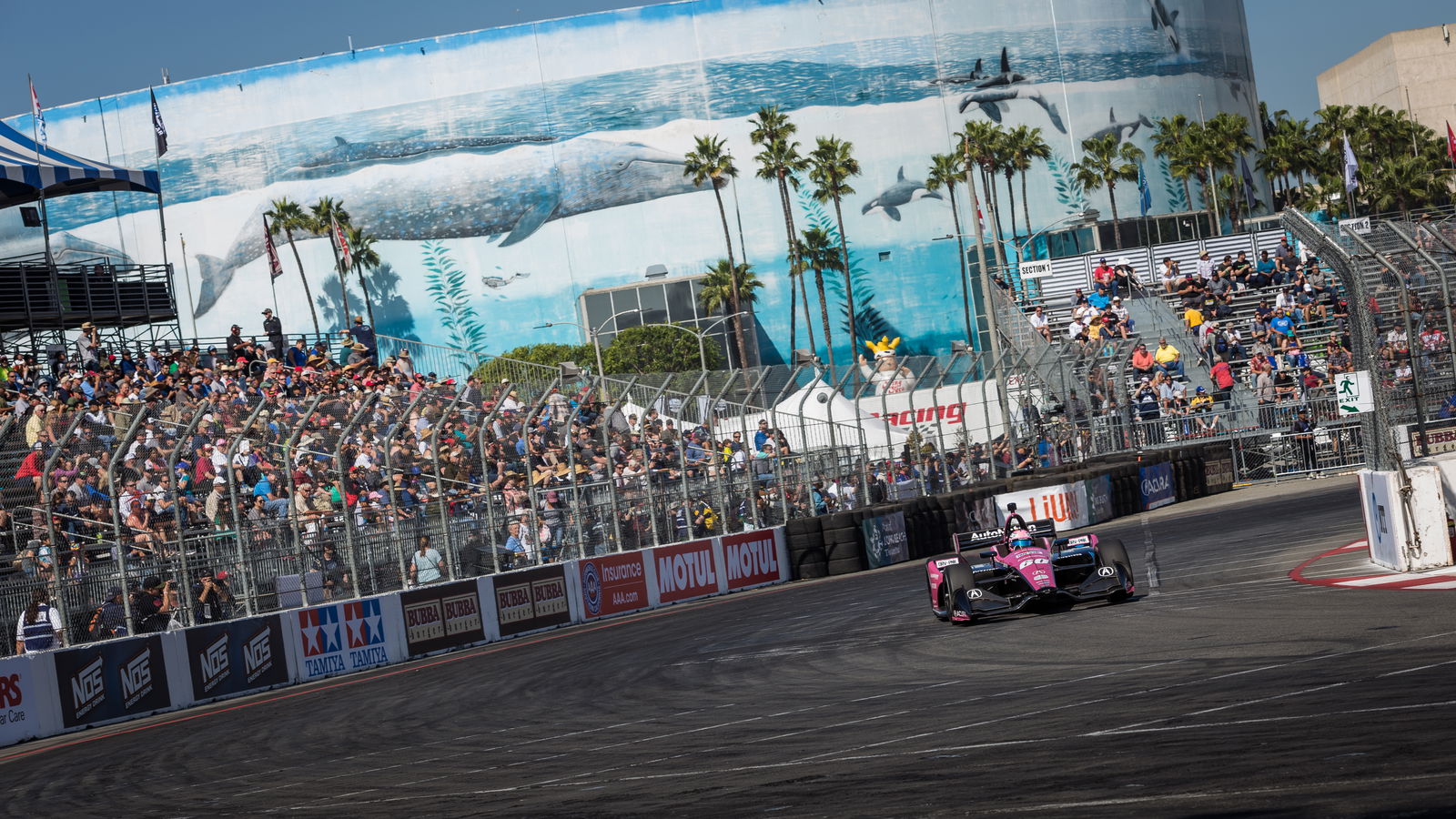 45th Acura Grand Prix of Long Beach - Starting Grid