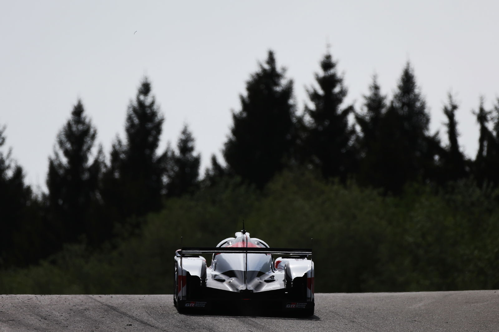 Bagaimana legenda Alonso akan tumbuh melalui petualangan WEC-nya