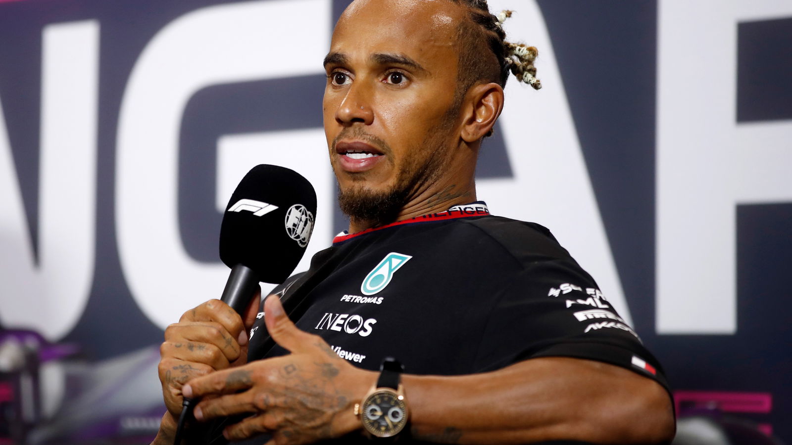 Hamilton’s theory - and warning - about Red Bull blip