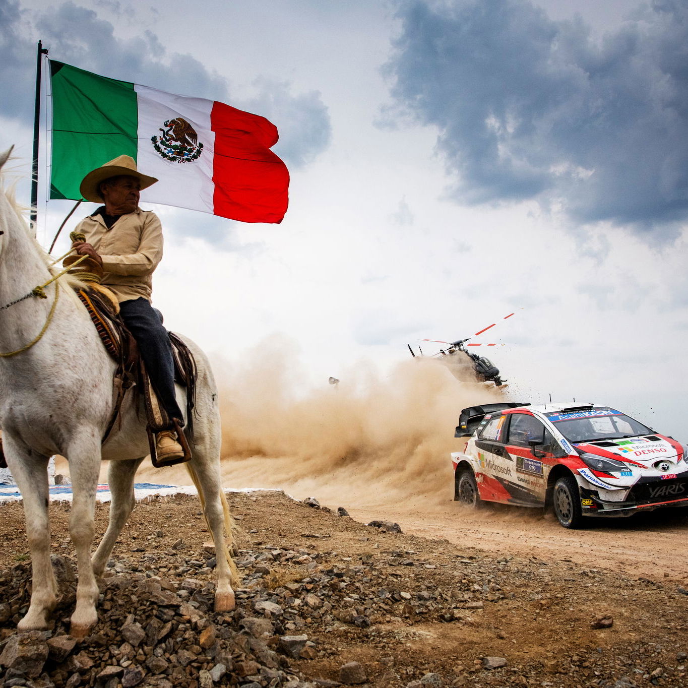 Toni Gardemeister: Q&A