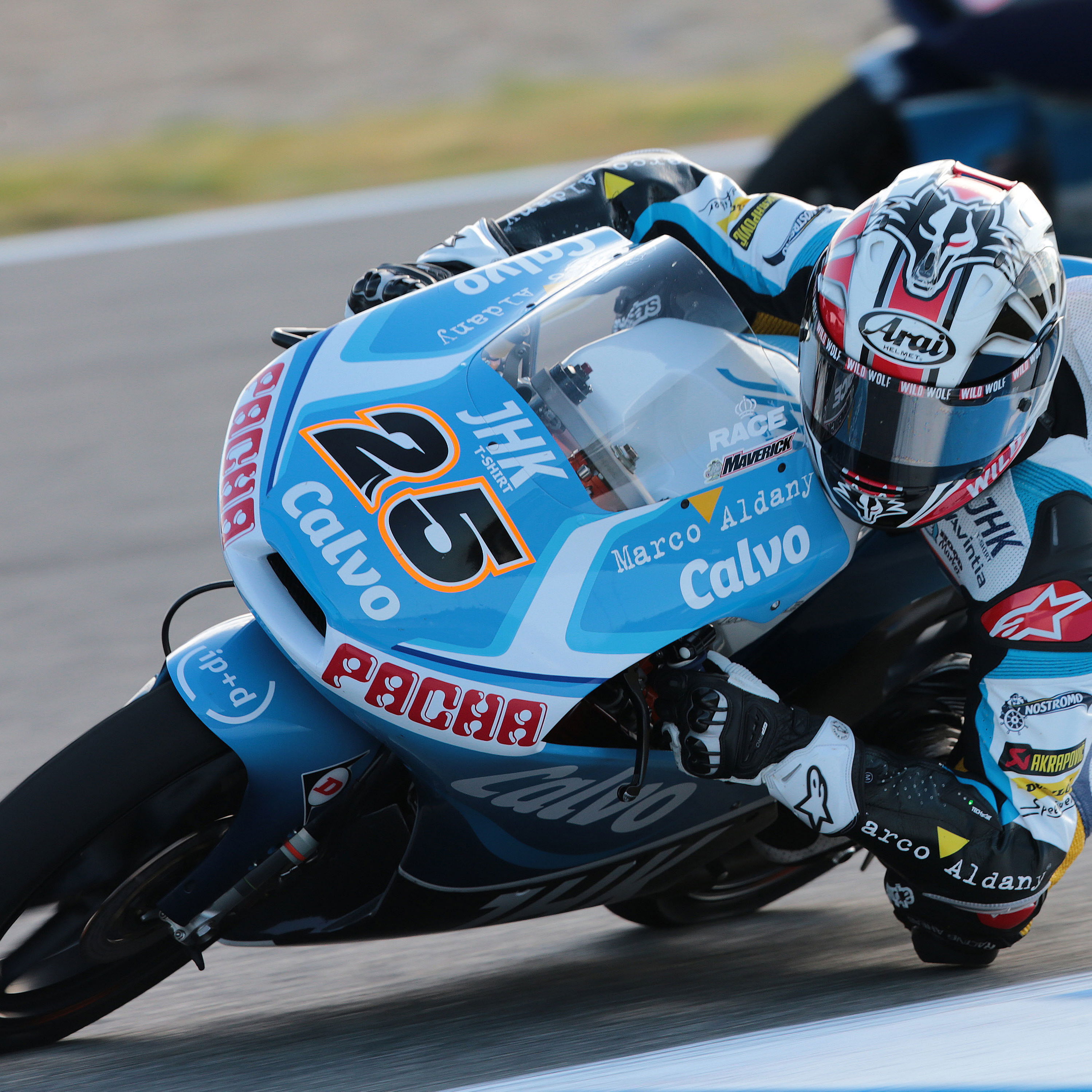 Vinales, Moto3, Spanish MotoGP 2013