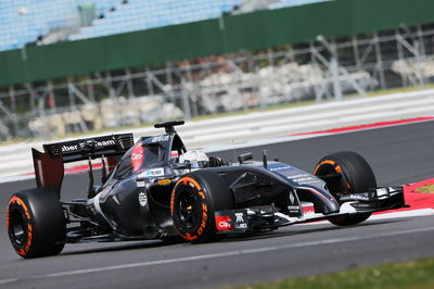 Sauber unhappy over van der Garde shunt