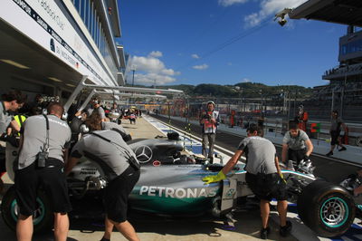 F1 Russian Grand Prix - Starting grid