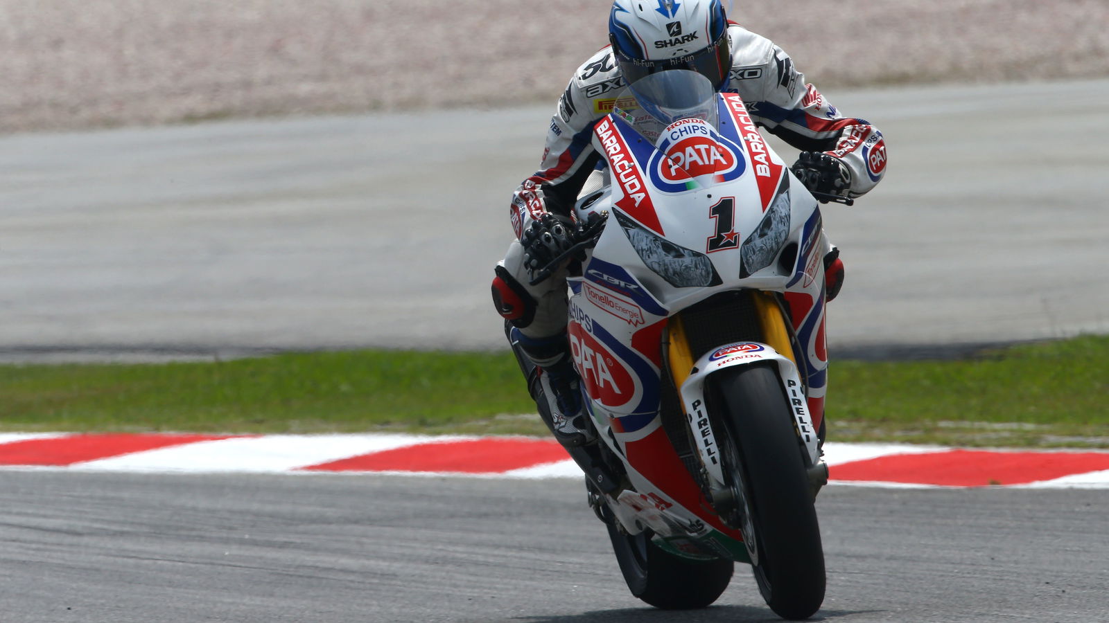 ten Kate admits Guintoli will look around for 2016