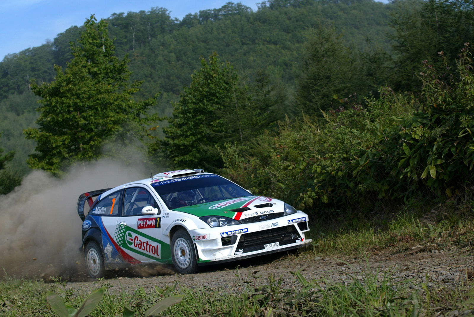 Markko Martin / Michael Park - Ford Focus RS WRC04