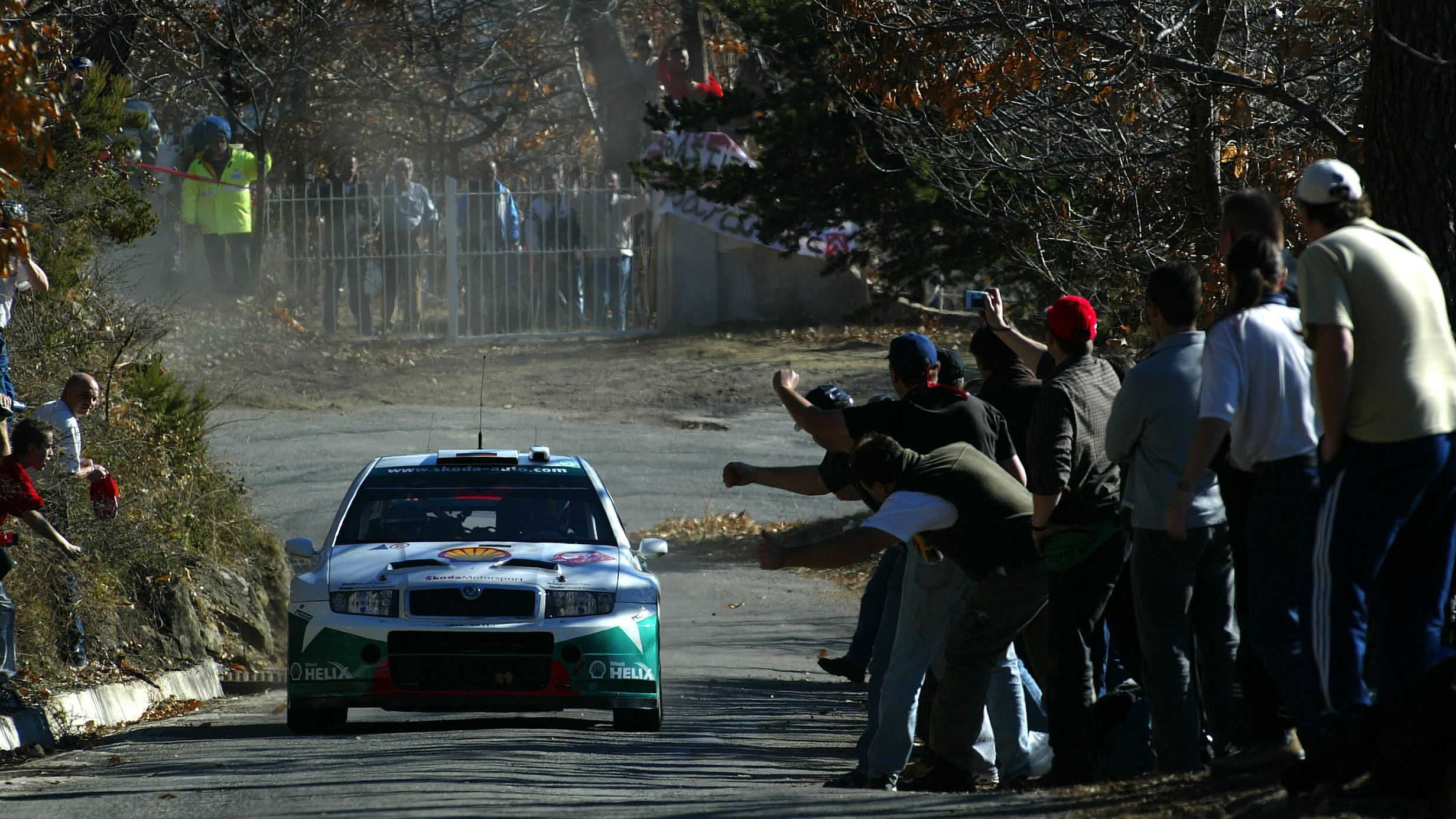 Armin Schwarz / Klaus Wicha - Skoda Fabia WRC