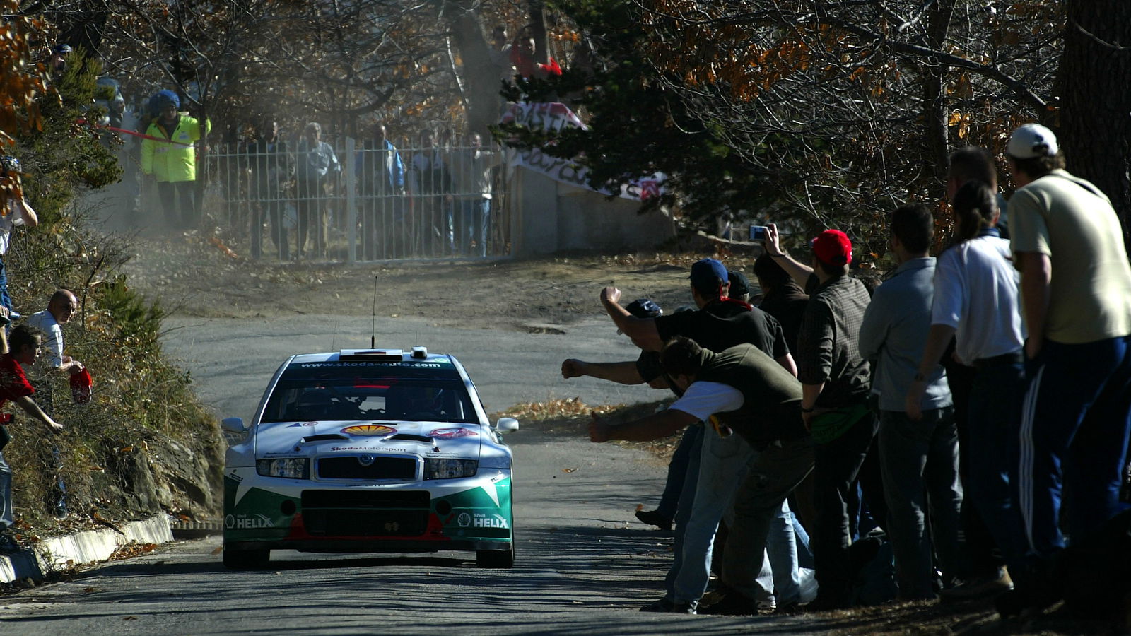 Armin Schwarz / Klaus Wicha - Skoda Fabia WRC