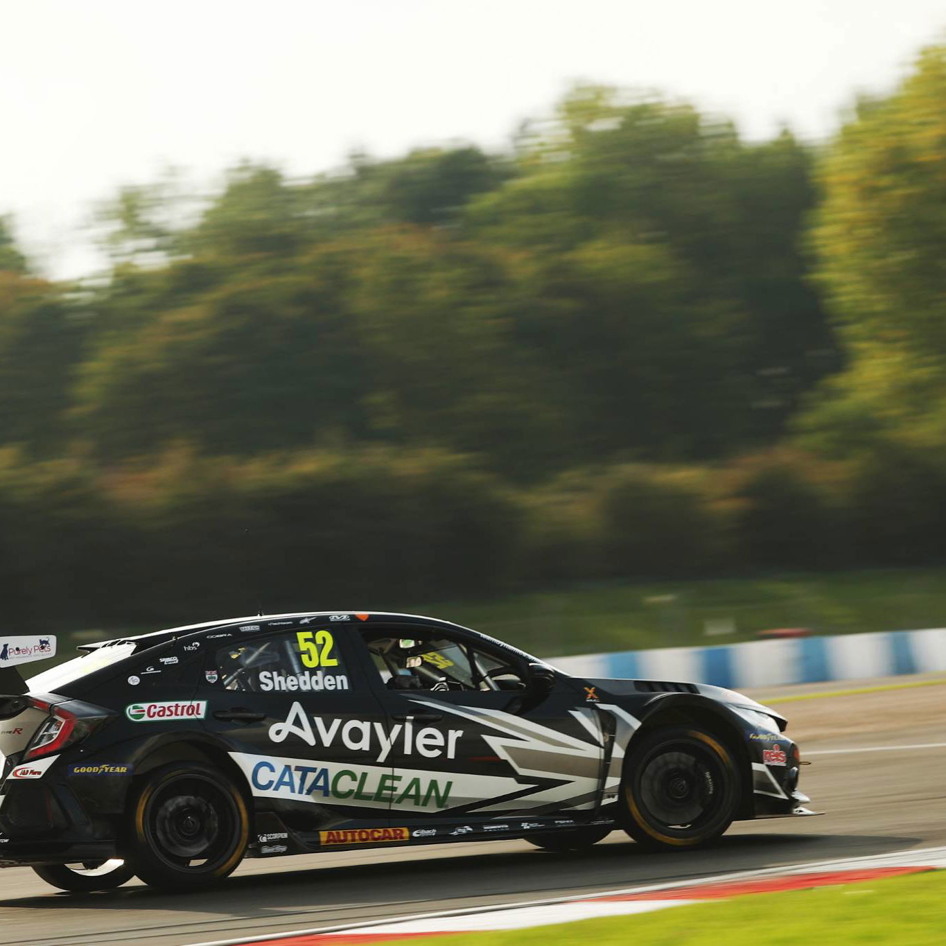 iGordon Shedden (GBR) - Team Dynamics Honda Civic Type R