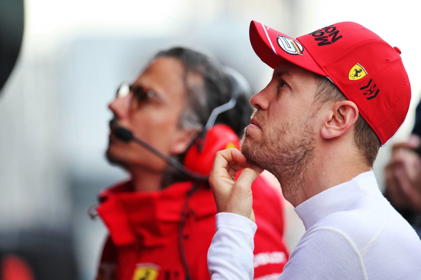 Hamilton membuat perbandingan dengan kehidupan terkunci dan penangkaran hewan