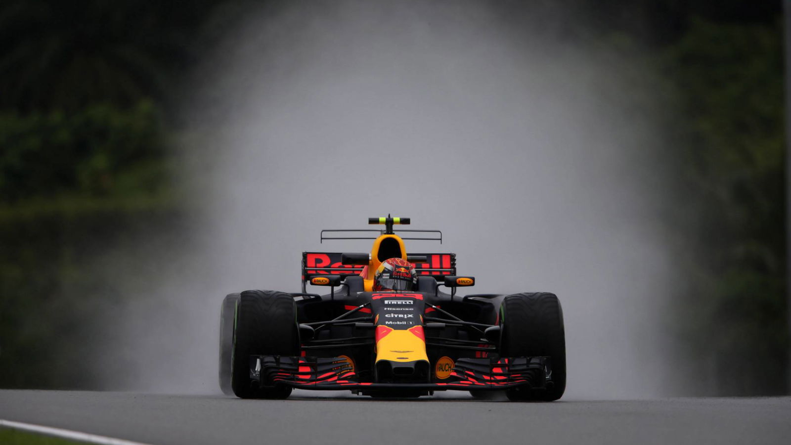 Verstappen hopes for another wet Brazilian GP
