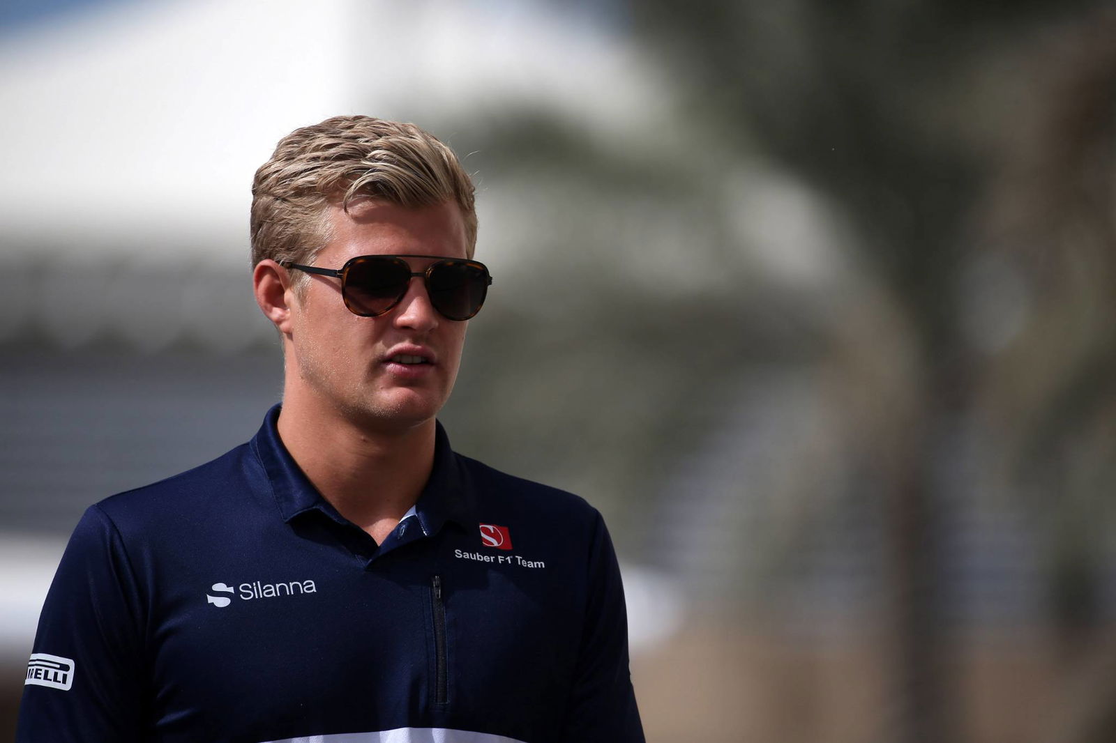 New F1 logo to be unveiled after Abu Dhabi GP